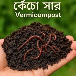 ভার্মিকম্পোস্ট প্রাকৃতিক জৈব সার